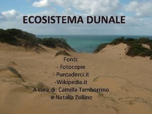Ecosistema dunale