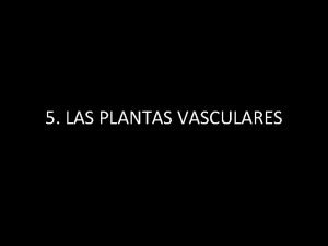 5 LAS PLANTAS VASCULARES 5 1 Caractersticas generales