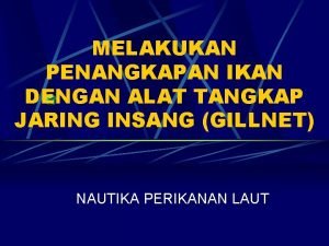 MELAKUKAN PENANGKAPAN IKAN DENGAN ALAT TANGKAP JARING INSANG