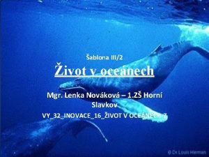 ablona III2 ivot v ocenech Mgr Lenka Novkov