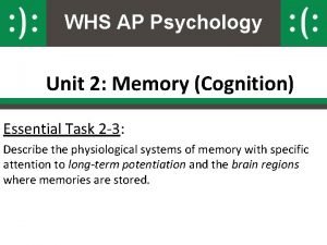 What part of the brain stores long term memory What part of the brain stores long term memory