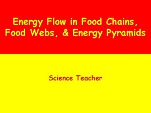 Energy Flow in Food Chains Food Webs Energy