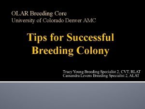 OLAR Breeding Core University of Colorado Denver AMC