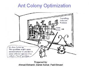 Ant Colony Optimization Prepared by Ahmad Elshamli Daniel