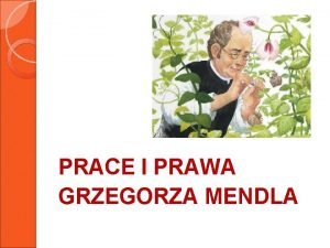 Szachownica punnetta