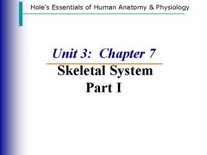 Holes Essentials of Human Anatomy Physiology Unit 3