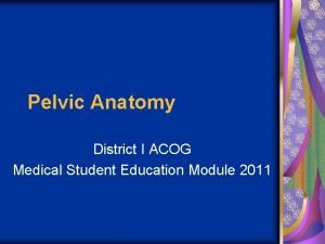 Pelvic Anatomy District I ACOG Medical Student Education