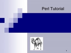 Perl Tutorial 1 Why Perl n Perl is