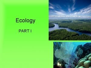 Ecology PART I Lesson Objectives Describe ecological levels