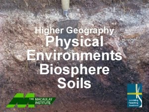 Higher Geography Physical Environments Biosphere Soils Higher Geography