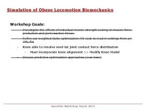 Simulation of Obese Locomotion Biomechanics Workshop Goals Investigate