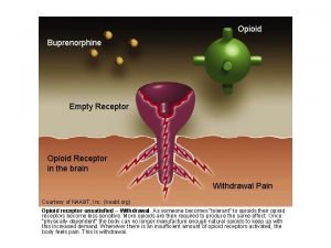 Opioid Buprenorphine Empty Receptor Opioid Receptor in the