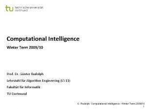 Computational Intelligence Winter Term 200910 Prof Dr Gnter