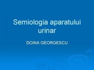 Semiologia aparatului urinar DOINA GEORGESCU ANAMNEZA Vrsta NN