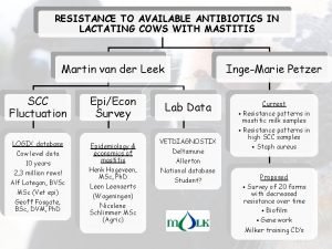 Mastitis antibiotics Mastitis antibiotics