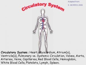 Adapted from S MORRIS 2006 Circulatory System Heart