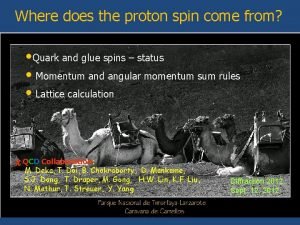 Where does the proton spin come from Quark