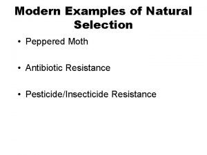 Natural selection examples Natural selection examples