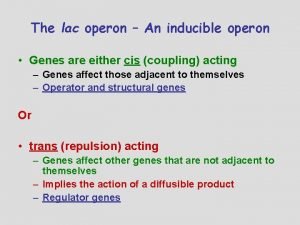 The lac operon An inducible operon Genes are