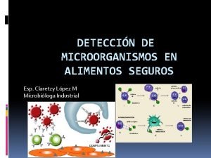 DETECCIN DE MICROORGANISMOS EN ALIMENTOS SEGUROS Esp Claretzy