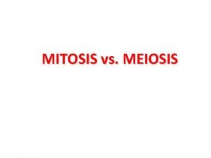Comparing mitosis and meiosis worksheet