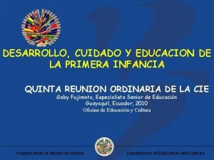 DESARROLLO CUIDADO Y EDUCACION DE LA PRIMERA INFANCIA