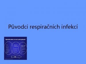 Pvodci respiranch infekc Infekce dchacch cest Nejastj infekce