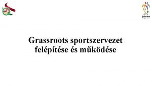Grassroots sportszervezet felptse s mkdse A sportszervezetek tpusai