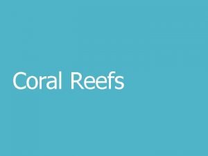 Coral Reefs Corals are cnidarians a phylum of