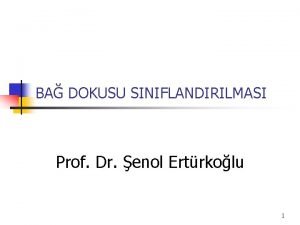 BA DOKUSU SINIFLANDIRILMASI Prof Dr enol Ertrkolu 1