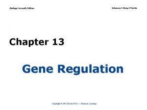Biology seventh edition