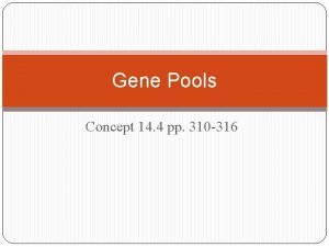 Gene pool definition biology