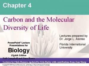 Chapter 4 Carbon and the Molecular Diversity of