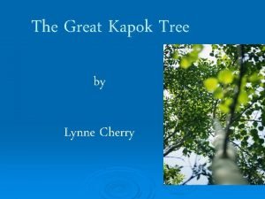 Lynne cherry the great kapok tree