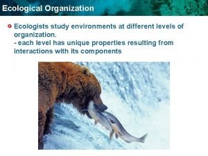 The levels of ecological organization
