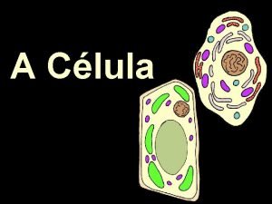A Clula A clula a unidade morfolxica e