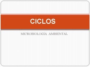 CICLOS MICROBIOLOGA AMBIENTAL TIPOS DE CICLOS Hay tres