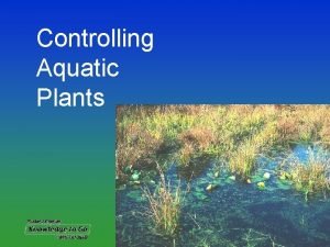 Controlling Aquatic Plants When left uncontrolled aquatic plants