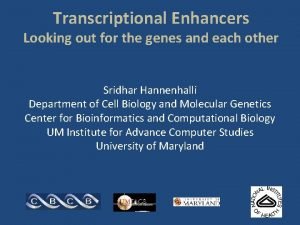 Transcriptional Enhancers Looking out for the genes and