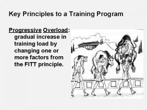 Progressive overload principle