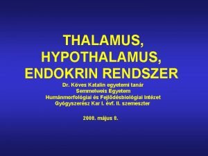 THALAMUS HYPOTHALAMUS ENDOKRIN RENDSZER Dr Kves Katalin egyetemi
