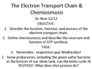 Chemiosmosis