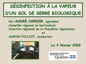 DSINFECTION LA VAPEUR DUN SOL DE SERRE BIOLOGIQUE