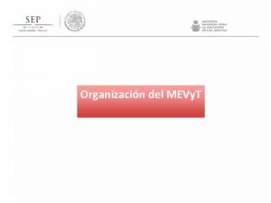 Organizacin del MEVy T TIPOS DE MDULOS Mdulos