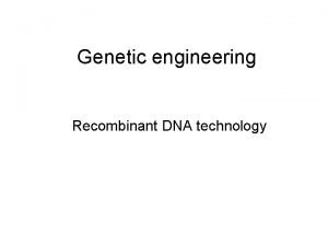 Genetic engineering Recombinant DNA technology Questions Name 3