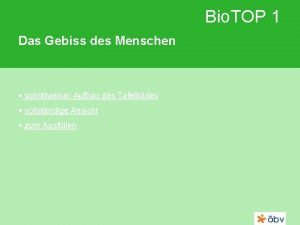 Bio TOP 1 Das Gebiss des Menschen schrittweiser