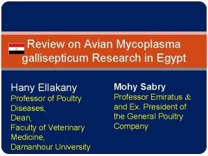 Review on Avian Mycoplasma gallisepticum Research in Egypt