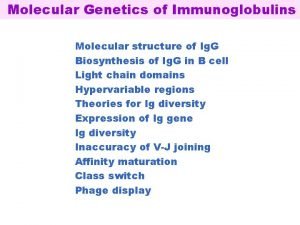 Molecular Genetics of Immunoglobulins Molecular structure of Ig