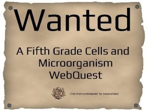 Wanted posters microorganisms