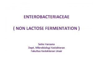 Enterobacteriaceae non lactose fermenter